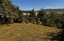 Casa veche cu teren în zona ultracentrală în suprafață de 1263 mp