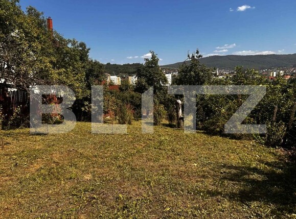 Casa de vânzare 2 camere Central - 175627CV | BLITZ Zalău | Poza7