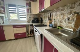 Casa de vanzare 4 camere în suprafață utilă 105 mp și teren 3300 mp