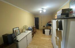 Casa de vanzare 4 camere în suprafață utilă 105 mp și teren 3300 mp