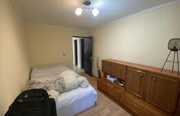 Casa de vanzare 4 camere în suprafață utilă 105 mp și teren 3300 mp