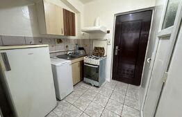 Garsoniera de inchiriat Dumbrava 