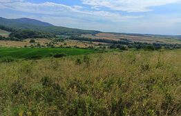 Teren extravilan, de vanzare, 6500 mp,  zona Crasnei