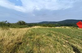 Teren extravilan, de vanzare, 6500 mp,  zona Crasnei