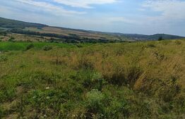 Teren extravilan, de vanzare, 6500 mp,  zona Crasnei