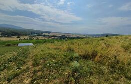 Teren extravilan, de vanzare, 6500 mp,  zona Crasnei