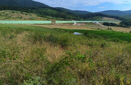 Teren extravilan, de vanzare, 6500 mp,  zona Crasnei