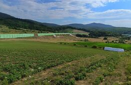 Teren extravilan, de vanzare, 6500 mp,  zona Crasnei