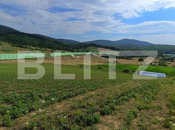 Teren de vânzare Exterior-Sud - 177021TV | BLITZ Zalău | Poza1