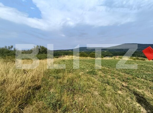 Teren de vânzare Exterior-Sud - 177021TV | BLITZ Zalău | Poza6