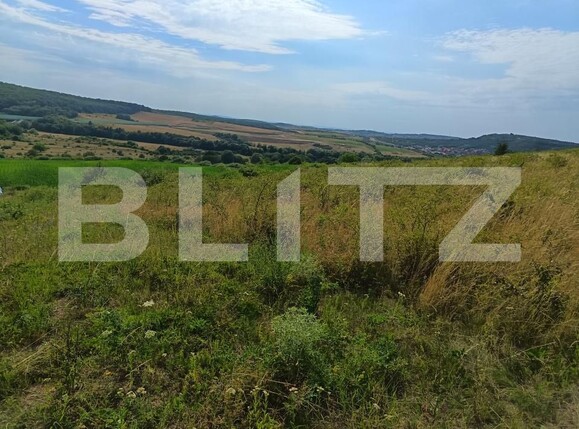 Teren de vânzare Exterior-Sud - 177021TV | BLITZ Zalău | Poza4