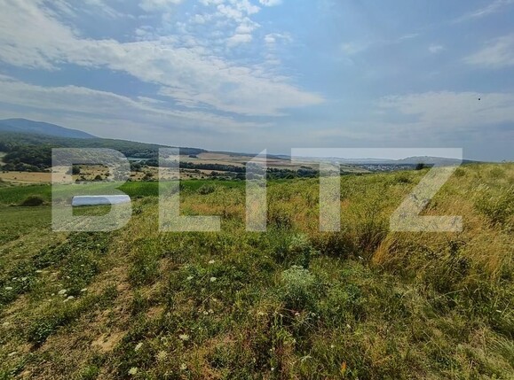 Teren de vânzare Exterior-Sud - 177021TV | BLITZ Zalău | Poza5