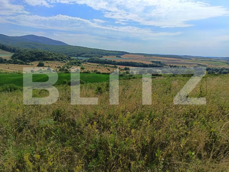 Teren de vânzare Exterior-Sud - 177021TV | BLITZ Zalău | Poza2