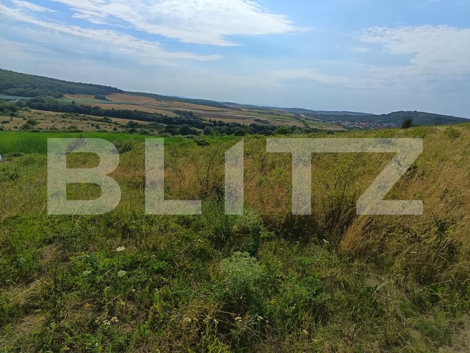 Teren de vânzare Exterior-Sud - 177021TV | BLITZ Zalău | Poza4