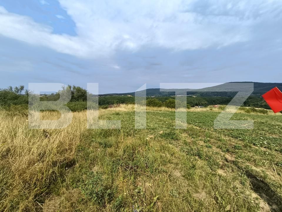 Teren de vânzare Exterior-Sud - 177021TV | BLITZ Zalău | Poza6