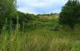 Teren Intravilan, de vanzare, 918 mp, zona Livada Meses