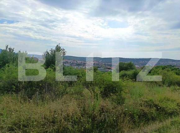 Teren de vânzare Exterior-Sud - 177236TV | BLITZ Zalău | Poza2