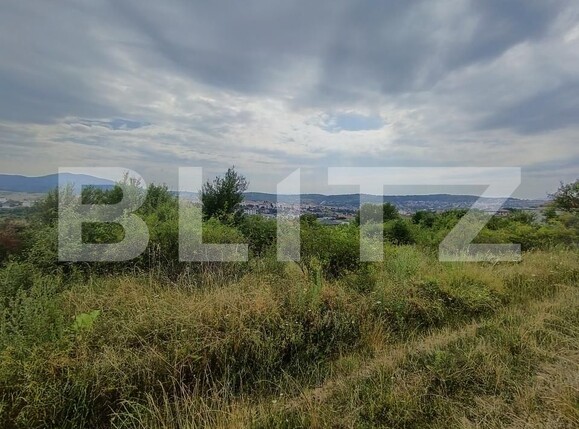 Teren de vânzare Exterior-Sud - 177236TV | BLITZ Zalău | Poza3