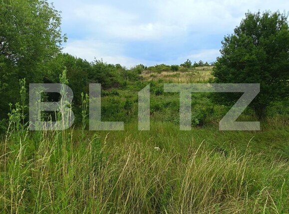 Teren de vânzare Exterior-Sud - 177236TV | BLITZ Zalău | Poza1