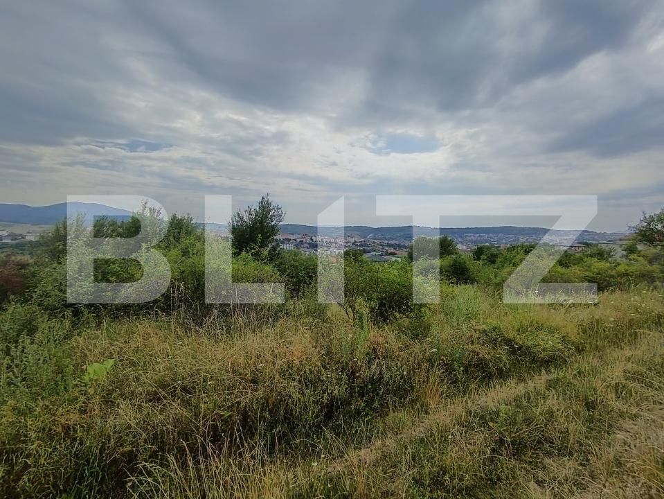 Teren de vânzare Exterior-Sud - 177236TV | BLITZ Zalău | Poza3