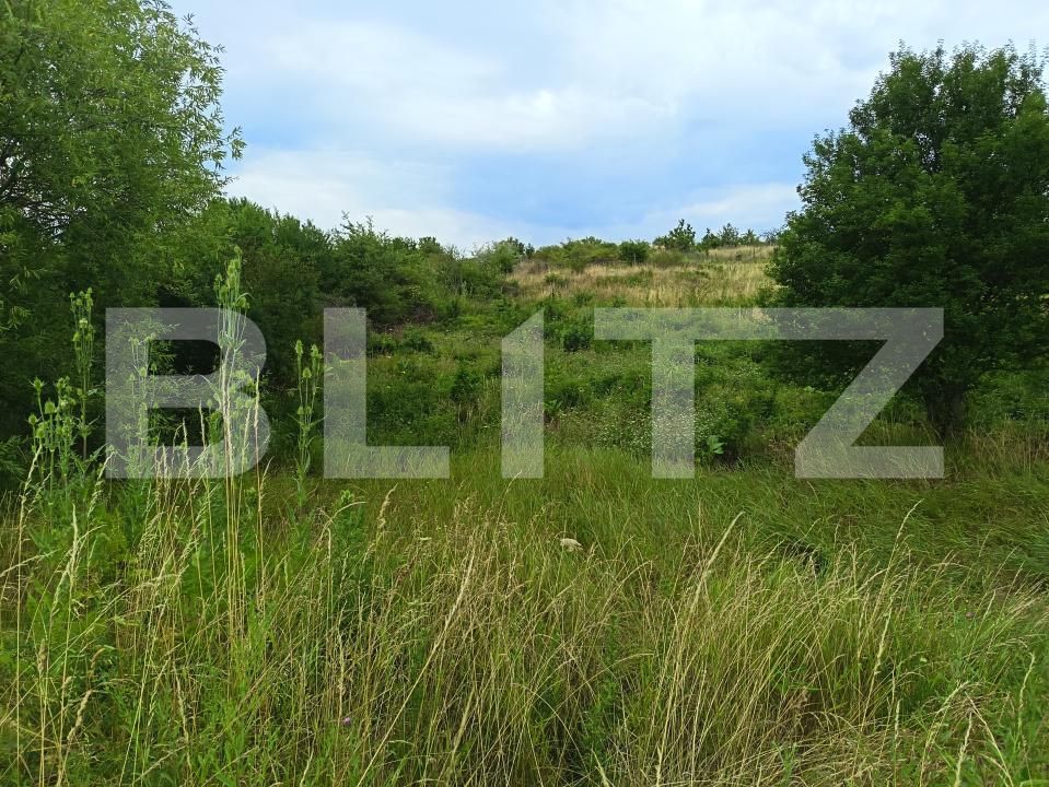 Teren de vânzare Exterior-Sud - 177236TV | BLITZ Zalău | Poza1