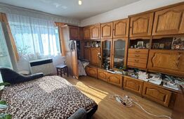 Garsoniera de vanzare, 24,55 mp, Porolissum