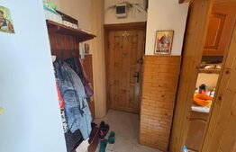 Garsoniera de vanzare, 24,55 mp, Porolissum