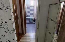 Garsoniera de inchiriat, 25 mp, zona Sarmas