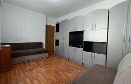 Garsoniera de inchiriat, 25 mp, zona Sarmas
