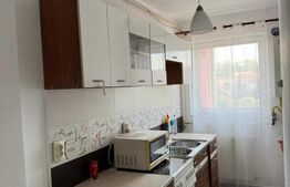 Garsoniera de vanzare, 27.3 mp, zona Dumbrava II