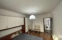 Garsoniera de vanzare, 27.3 mp, zona Dumbrava II