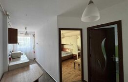 Garsoniera de vanzare, 27.3 mp, zona Dumbrava II