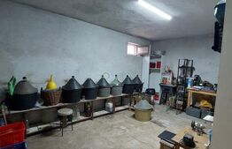 Casa/Spatiu Comercial, 620 mp, pe 3 nivele: demisol, parter, etaj, Zalau