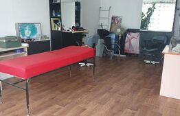 Casa/Spatiu Comercial, 620 mp, pe 3 nivele: demisol, parter, etaj, Zalau