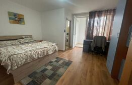 Garsonieră de vanzare, 27 mp, complet renovată, luminoasă – zonă centrala