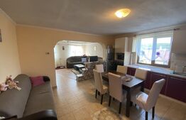 Casa de vanzare in suprafat de 114mp cu 600 mp teren, loc. Criseni