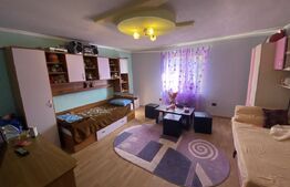 Casa de vanzare in suprafat de 114mp cu 600 mp teren, loc. Criseni