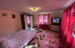 Casa de vanzare in suprafat de 114mp cu 600 mp teren, loc. Criseni