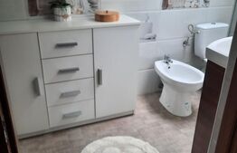 Apartament 2 camere, 55 mp, zona Centrala