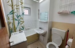 Garsoniera de inchiriat, 25 mp, Bradet