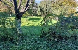 Casă de vânzare în Zalău – zonă centrală, cartier liniștit