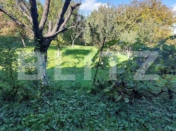 Casa de vânzare 4 camere Central - 179983CV | BLITZ Zalău | Poza7