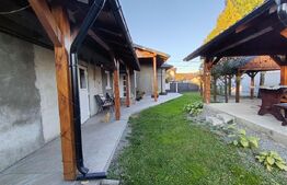 Casa cu 3 camere,baie, bucatarie,anexe.pivniță teren 800 mp