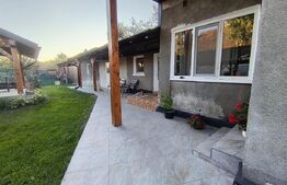 Casa cu 3 camere,baie, bucatarie,anexe.pivniță teren 800 mp