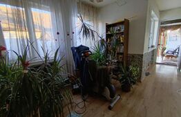 Casa cu 3 camere,baie, bucatarie,anexe.pivniță teren 800 mp