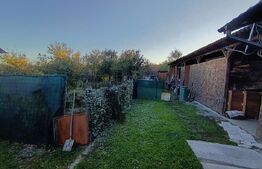 Casa cu 3 camere,baie, bucatarie,anexe.pivniță teren 800 mp