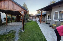 Casa cu 3 camere,baie, bucatarie,anexe.pivniță teren 800 mp