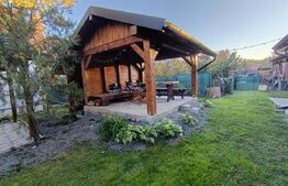 Casa cu 3 camere,baie, bucatarie,anexe.pivniță teren 800 mp
