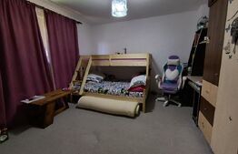 Casa 3 dormitoare, 180 mp, terasă  80 mp, zona Central