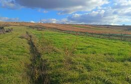 Teren de vânzare Hereclean - 159020TV | BLITZ Zalău | Poza3